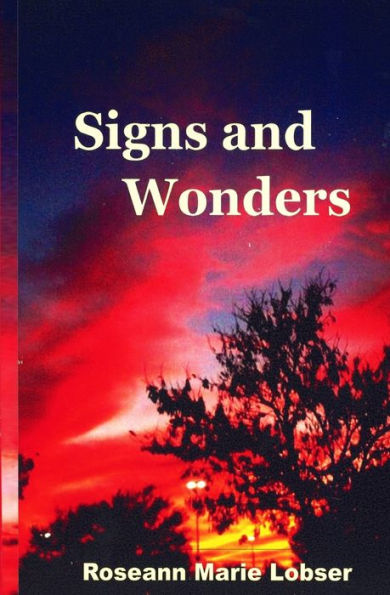 Signs And Wonders - 9781535349031