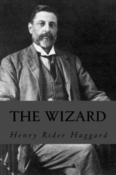 The Wizard - 9781535360562