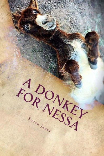 A Donkey For Nessa