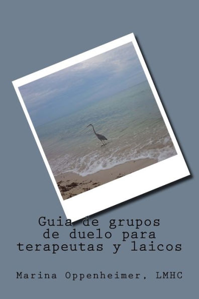 Guia De Grupos De Duelo Para Terapeutas Y Laicos (Spanish Edition)