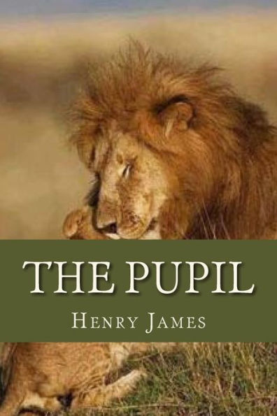 The Pupil - 9781535419406