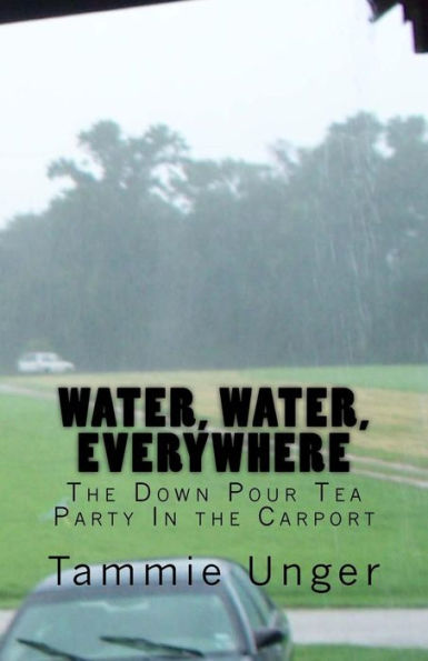 Water, Water, Everywhere: The Down Pour Tea Party In The Carport (Frog's Tales)