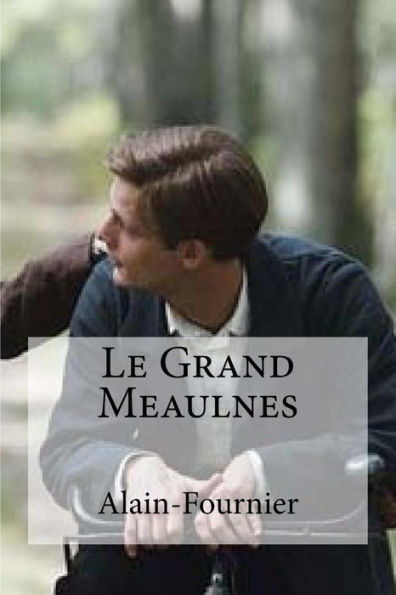 Le Grand Meaulnes (French Edition) - 9781536826807