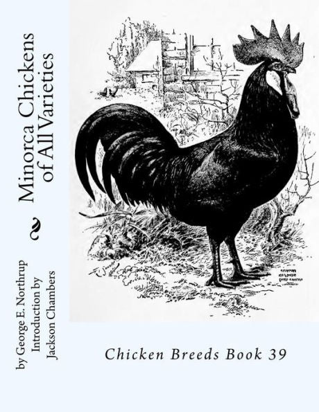 Minorca Chickens Of All Varieties: Chicken Breeds Book 39