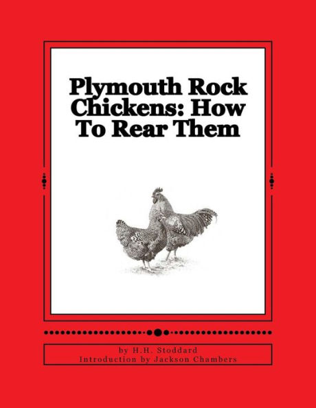 Plymouth Rock Chickens: How To Rear Them: Chicken Breeds Book 45
