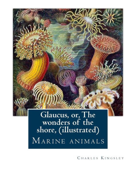 Glaucus, Or, The Wonders Of The Shore, By Charles Kingsley (Illustrated): Marine Animals