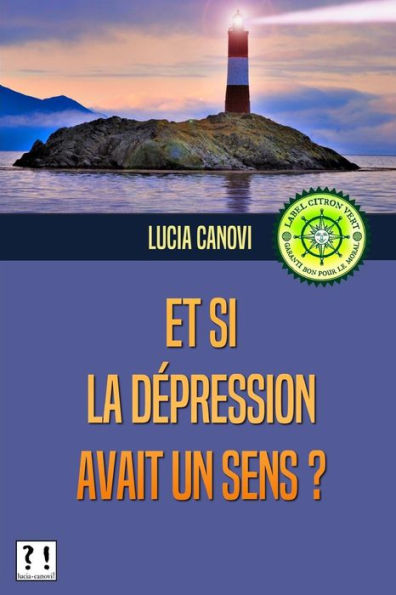 Et Si La Dépression Avait Un Sens ? (Antidépresseurs, Mensonges, Et Conséquences...) (French Edition)