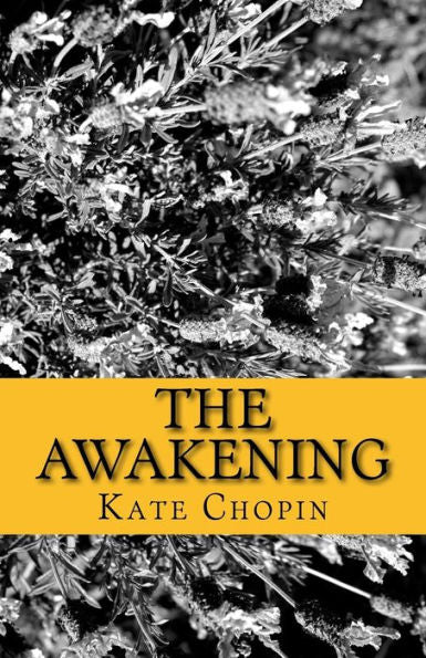 The Awakening - 9781537063904