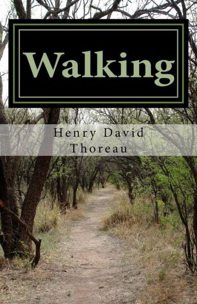 Walking - 9781537080246