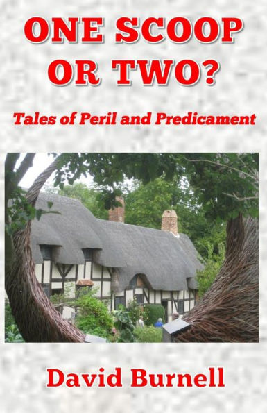 One Scoop Or Two? (Tales Of Peril And Predicament)