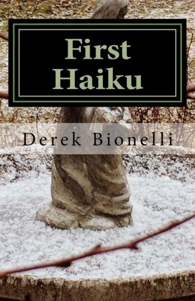 First Haiku: Learning To See The World