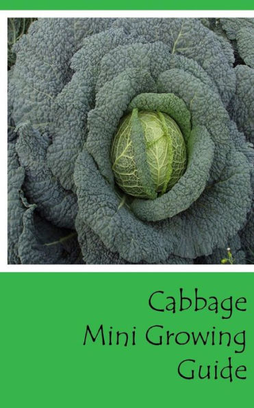 Cabbage Mini Growing Guide (Grow Vegetables In Your Garden Series)