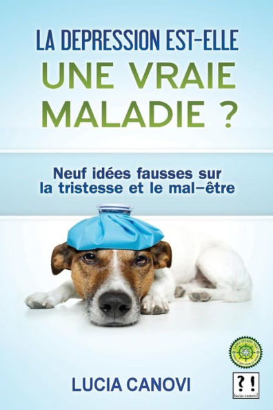 La Dépression Est-Elle Une Vraie Maladie ?: 9 Idées Fausses Sur La Tristesse Et Le Mal-Être (Antidépresseurs, Mensonges, Et Conséquences...) (French Edition)