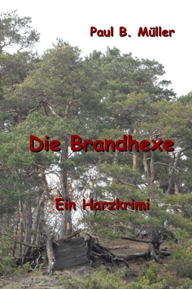 Die Brandhexe: Ein Harzkrimi (German Edition)