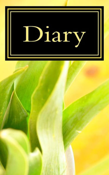 Diary - 9781537321141