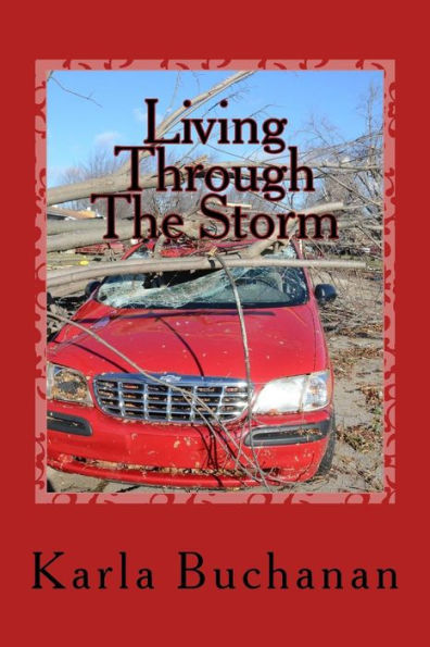 Living Through The Storm