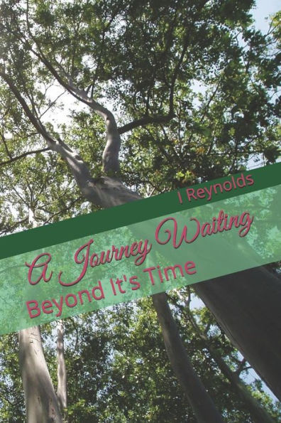 A Journey Waiting: Beyond It's Time
