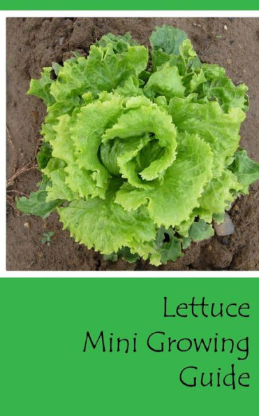 Lettuce Mini Growing Guide (Grow Vegetables In Your Garden Series)