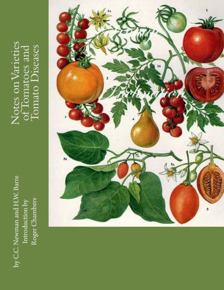 Notes On Varieties Of Tomatoes And Tomato Diseases