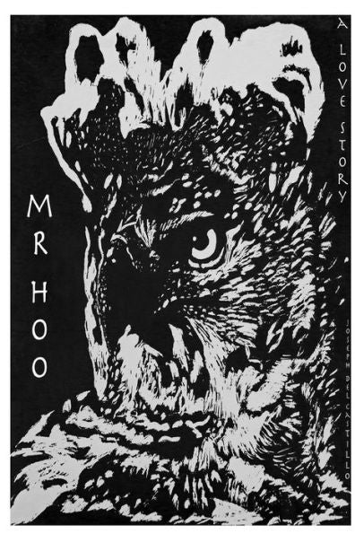 Mr. Hoo A Love Story