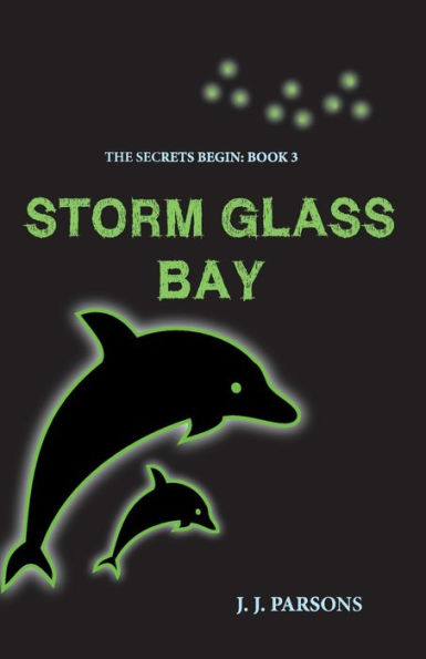 Storm Glass Bay (The Secrets Begin)
