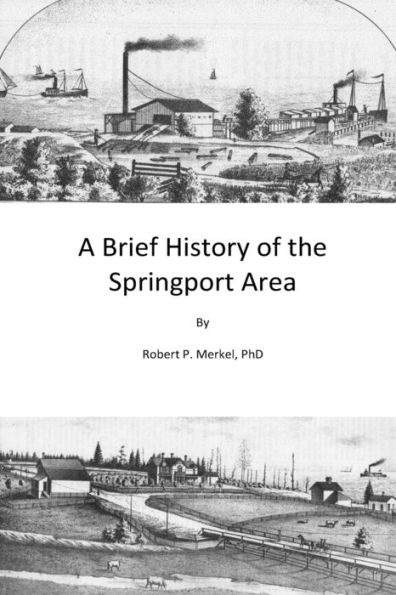 A Brief History Of The Springport Area