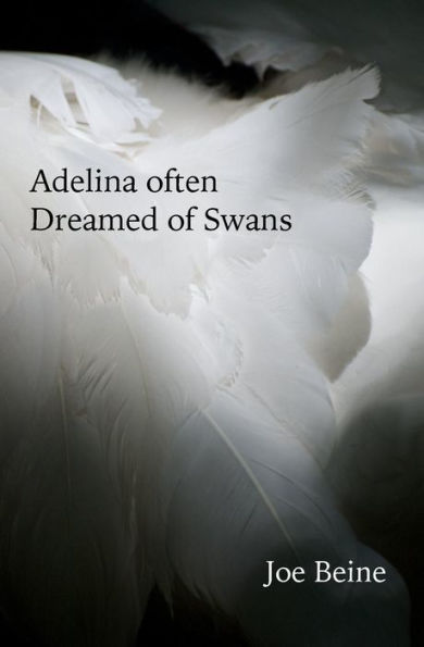 Adelina Often Dreamed Of Swans