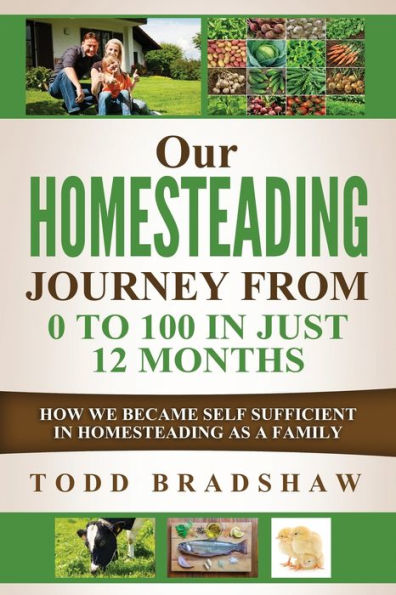 Our Homesteading Journey From 0 To 100 In Just 12 Months: How We Became Self Sufficient In Homesteading As A Family