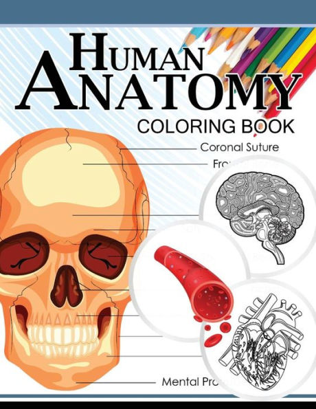 Human Anatomy Coloring Book: Anatomy & Physiology Coloring Book 3Rd Edtion