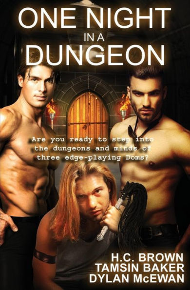 One Night In A Dungeon: Anthology