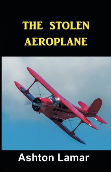 The Stolen Aeorplane - 9781538023945