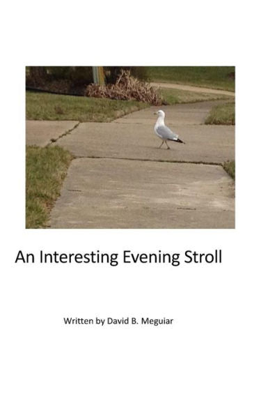 An Interesting Evening Stroll