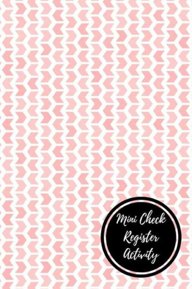 Mini Check Register Activity: Check Log