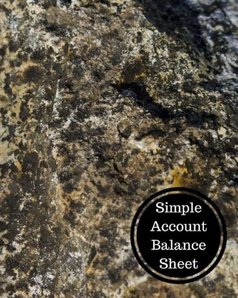 Simple Account Balance Sheet: Balance Sheet Book