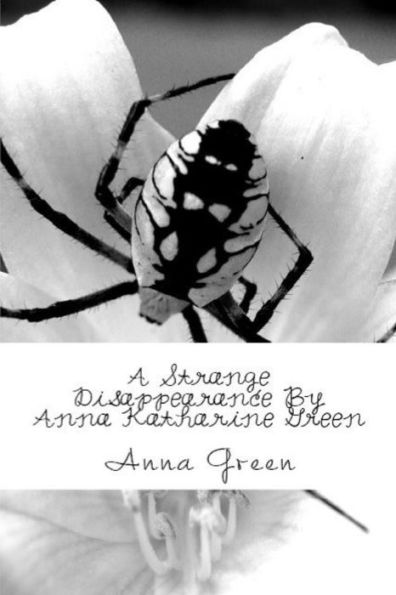 A Strange Disappearance - 9781538058336