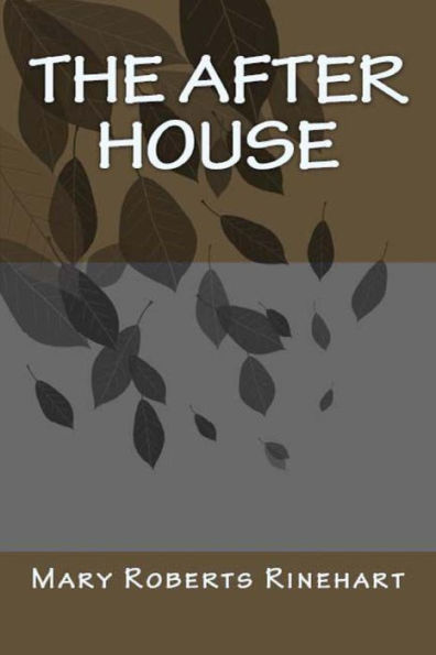 The After House - 9781538063477