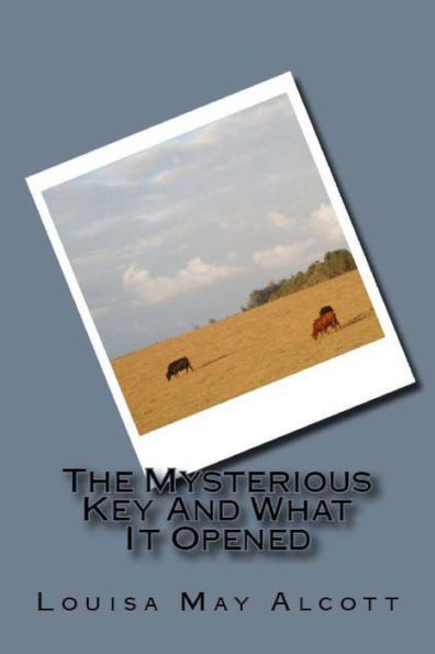 The Mysterious Key And What It Opened - 9781538064740