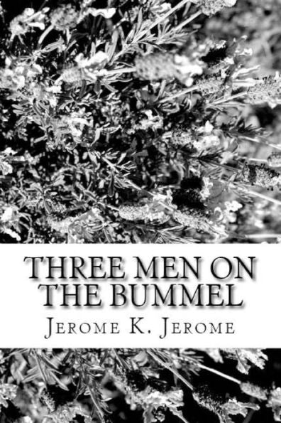 Three Men On The Bummel - 9781538065402