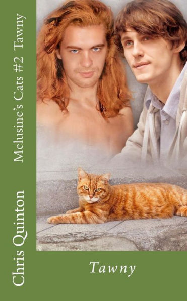 Tawny (Melusine's Cats)