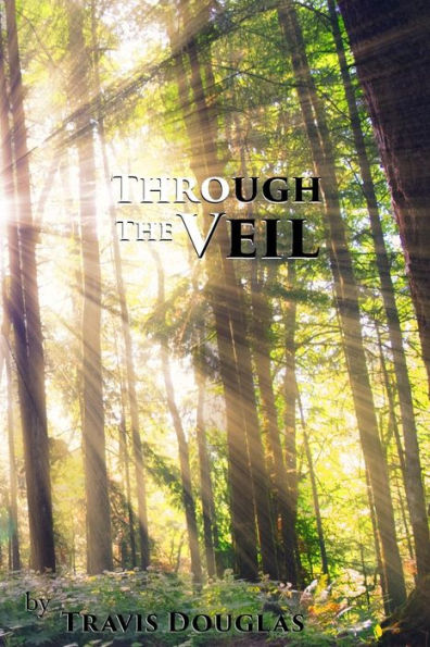 Through The Veil - 9781539073116