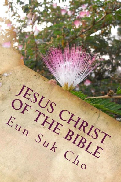 Jesus Christ Of The Bible