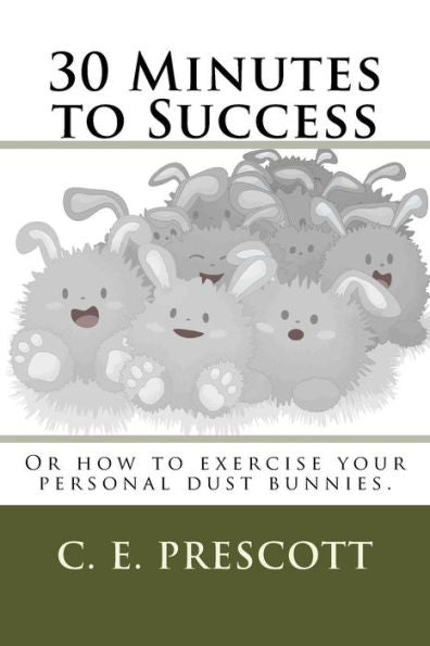 30 Minutes To Success: Or How To Exercise Your Personal Dust Bunnies.