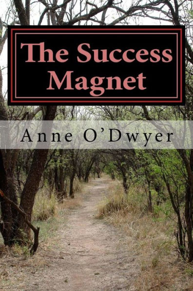 The Success Magnet: A Compilation Of My Articles To Guide You