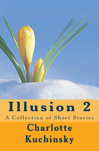Illusion 2: A Collection Of Short Stories