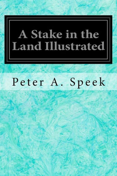 A Stake In The Land Illustrated