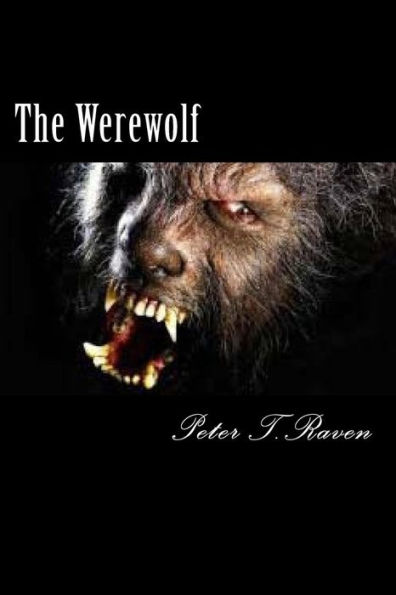 The Werewolf - 9781539199755