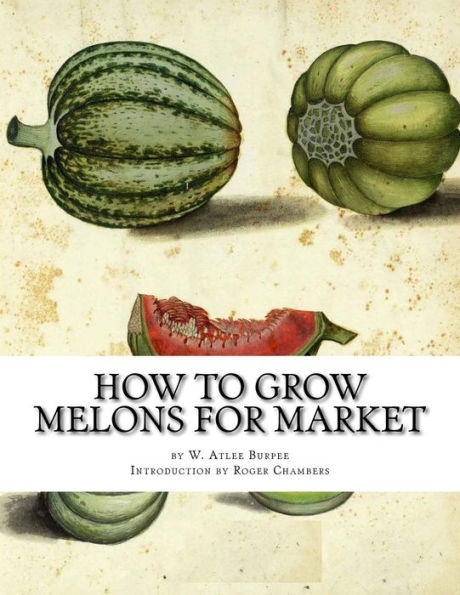 How To Grow Melons For Market