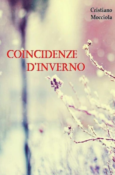 Coincidenze D'Inverno: Le Coincidenze Sono Le Cicatrici Del Nostro Destino (Italian Edition)