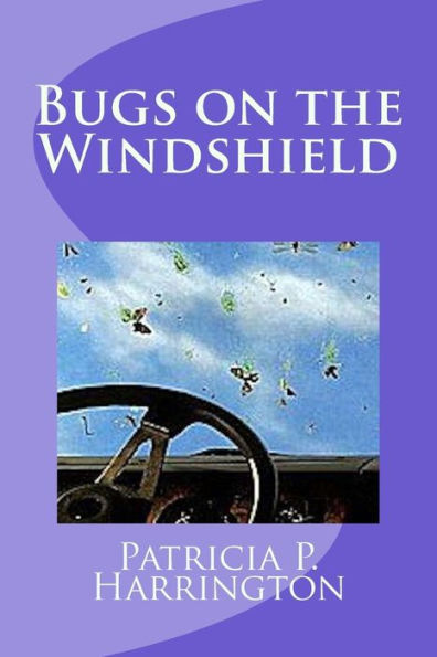 Bugs On The Windshield