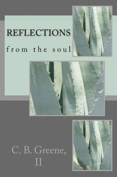 Reflections - 9781539423942